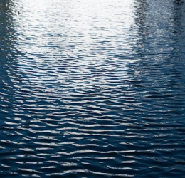 FAQs | Explore Royal Docks Waterways
