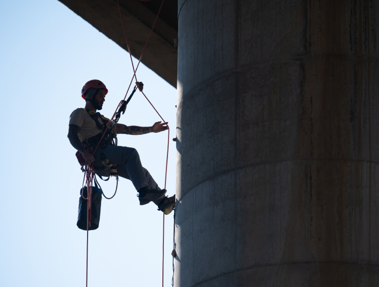 Culture | Careers | London Royal Docks | Royal Docks London | Royal Docks Waterways
