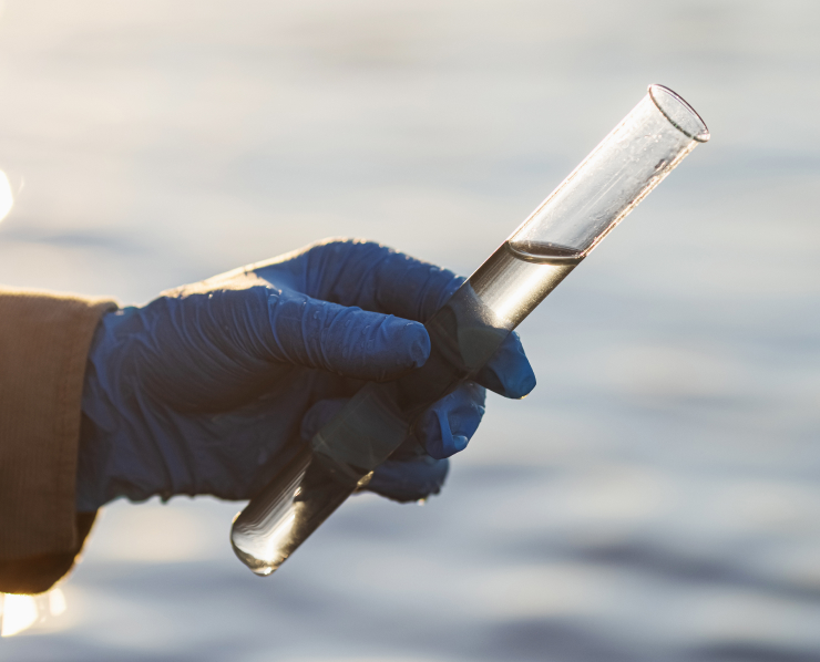 Environmental Management System | Water Quality Testing | European Bathing Standards | Impact & Responsibility | Royal Docks Waterways